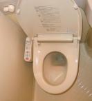 Japanese toilet, トイレ, japanische Toilette, washlet, ウォシュレット, Western-style toilet, 洋式トイレ, Japanese restrooms, poop